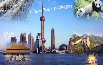 636980836294608827_M