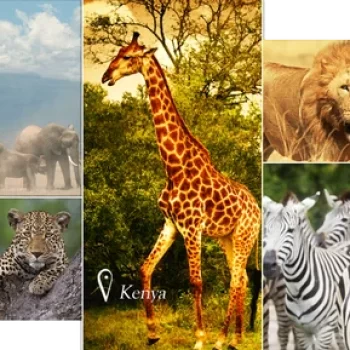 kenya-tour-package-500x500